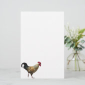 Papier de papeterie de coq (Debout devant)