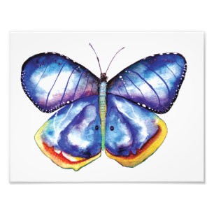Papier de photo d'art d'aquarelle de papillon