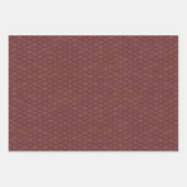 Papier de recouvrement des échelles de dragon (Devant 3)