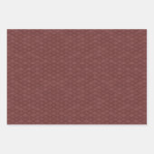 Papier de recouvrement des échelles de dragon (Devant)