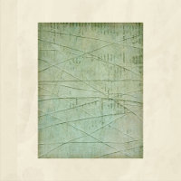 Papier de scrapbooking grunge vert filandreux