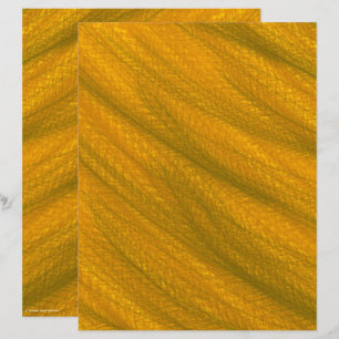 Papier de scrapbooking recto-verso ET Wheat Field