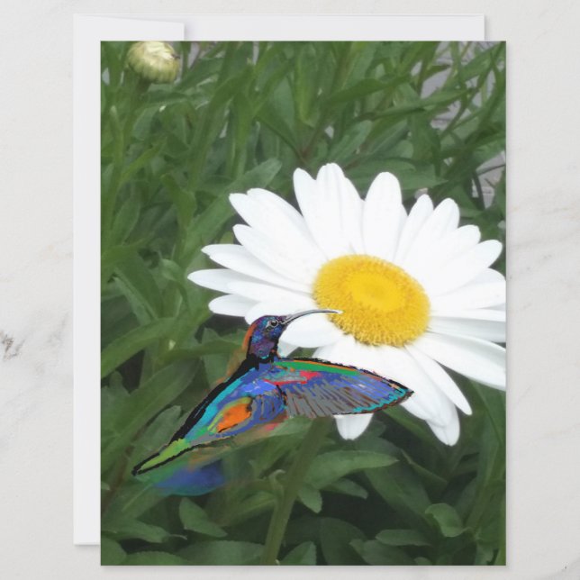 Papier de scrapbooking sur le thème du colibri  (Devant)