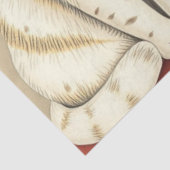 Papier de soie Chat Mignon (Détail)