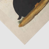 Papier de soie de la soie 10lb fait sur commande (Détail)