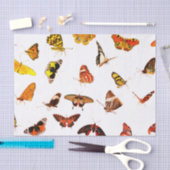 Papier de soie de la soie 10lb fait sur commande, (Artisanat)