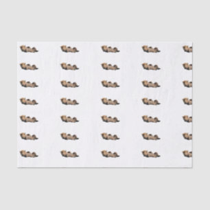 Papier de soie de la soie 10lb fait sur commande,