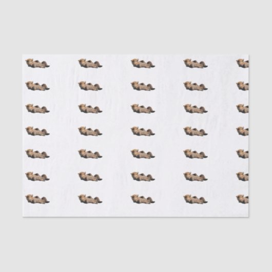 Papier de soie de la soie 10lb fait sur commande, (Recto)