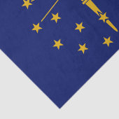 papier de soie de l'Indiana, papier de soie drapea (Détail)