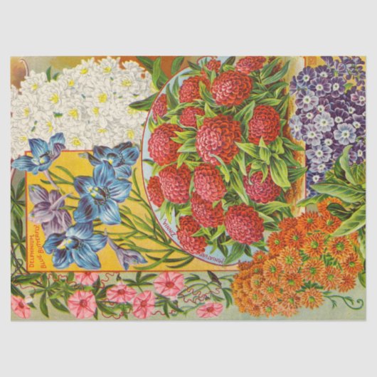 Papier de soie de soie antique de fleur (Recto)