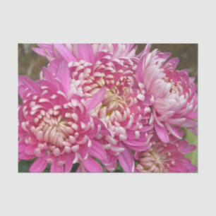 Papier de soie de soie assez rose