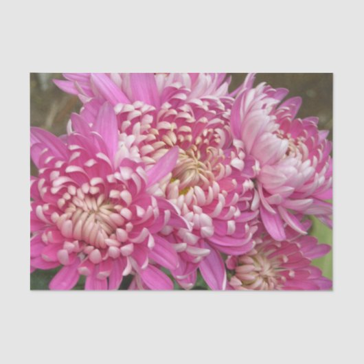 Papier de soie de soie assez rose (Recto)