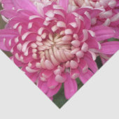 Papier de soie de soie assez rose (Détail)