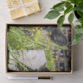 Papier de soie de soie avec l'image du veau en (Cadeau)