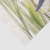 Papier de soie de soie bleu de fleur de jonquille (Détail)