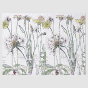Papier de soie de soie botanique de fleurs