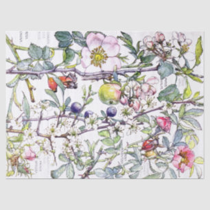 Papier de soie de soie botanique de fleurs de