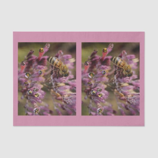 Papier de soie de soie d'abeilles de bulle (Recto)