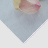 Papier de soie de soie d'ail (Détail)