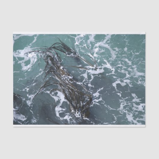 Papier de soie de soie d'algue (Recto)