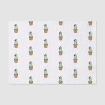 Papier de soie de soie de cactus