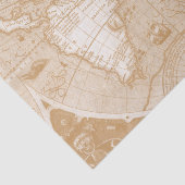 Papier de soie de soie de carte de Vieux Monde (Détail)