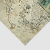 Papier de soie de soie de collage de nature (Détail)