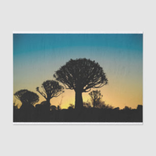 Papier de soie de soie de coucher du soleil de