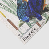 Papier de soie de soie de faune d'étang de Cattail (Détail)