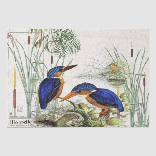 Papier de soie de soie de faune d'étang de Cattail (Recto)