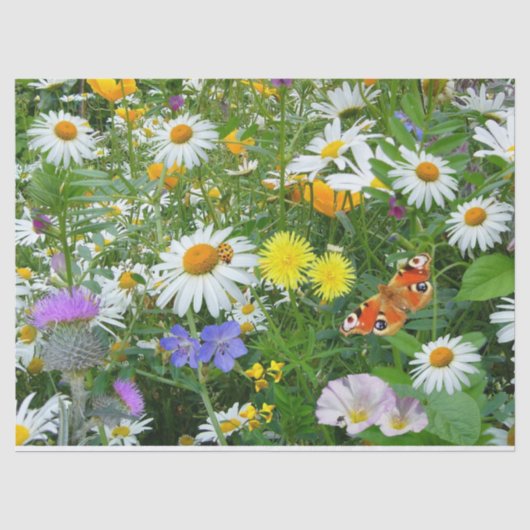 Papier de soie de soie de fleurs sauvages (Recto)