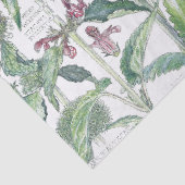 Papier de soie de soie de fleurs sauvages de fleur (Détail)