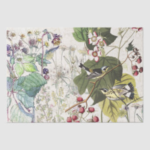 Papier de soie de soie de fleurs sauvages d'oiseau