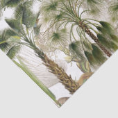 Papier de soie de soie de fruit de feuille de (Détail)