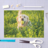 Papier de soie de soie de golden retriever (Artisanat)