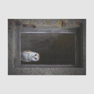 Papier de soie de soie de hibou de grange