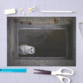 Papier de soie de soie de hibou de grange (Artisanat)