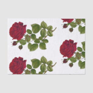 Papier de soie de soie de jardin de roses rouges