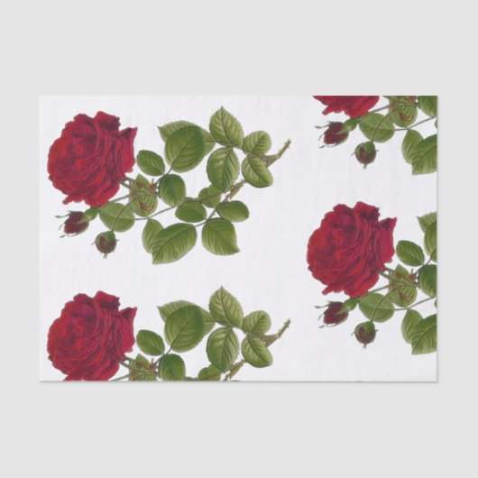 Papier de soie de soie de jardin de roses rouges (Recto)