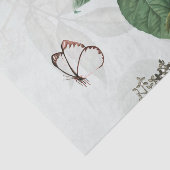 Papier de soie de soie de MAGNOLIA de PAPILLON (Détail)