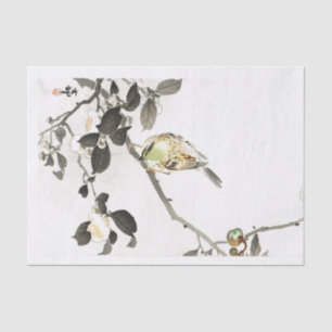 Papier de soie de soie de MOINEAU ET de FLEURS DE