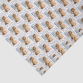 Papier de soie de soie de Noël de cocker (Détail)