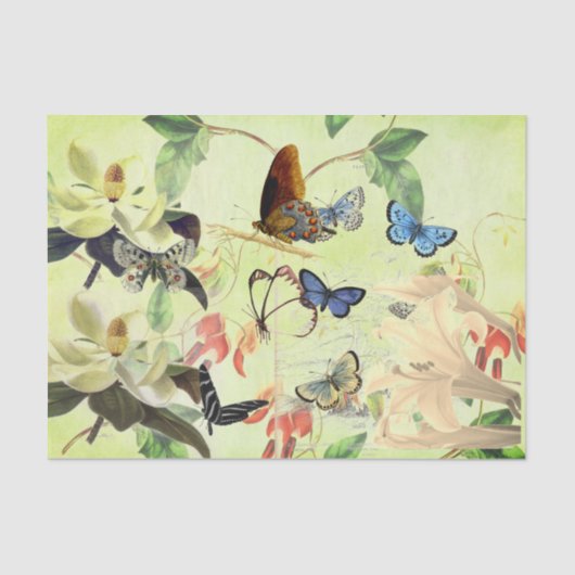 PAPIER DE SOIE DE SOIE DE PAPILLON ET DE MAGNOLIA (Recto)