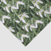 Papier de soie de soie de perce-neiges (Détail)