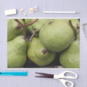 Papier de soie de soie de poires (Artisanat)