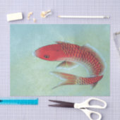 Papier de soie de soie de POISSONS (Artisanat)
