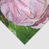 Papier de soie de soie de rose de rose (Détail)