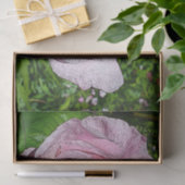 Papier de soie de soie de rose de rose (Cadeau)
