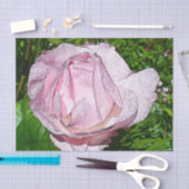 Papier de soie de soie de rose de rose (Artisanat)