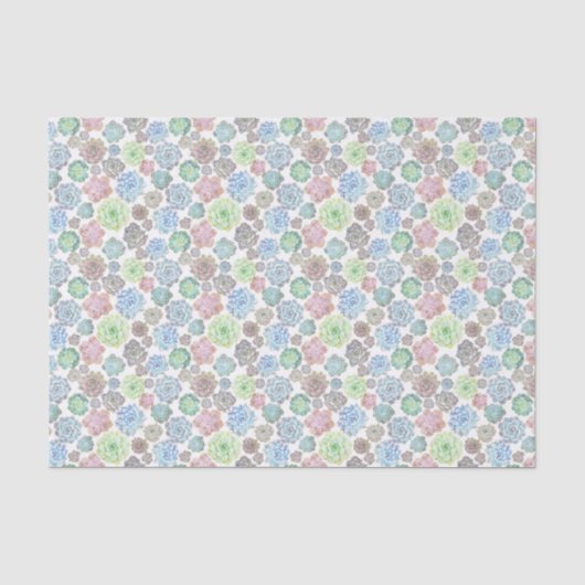 Papier de soie de soie de Succulents (Recto)